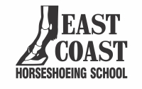 8 Week Horseshoeing Class Oct - Dec